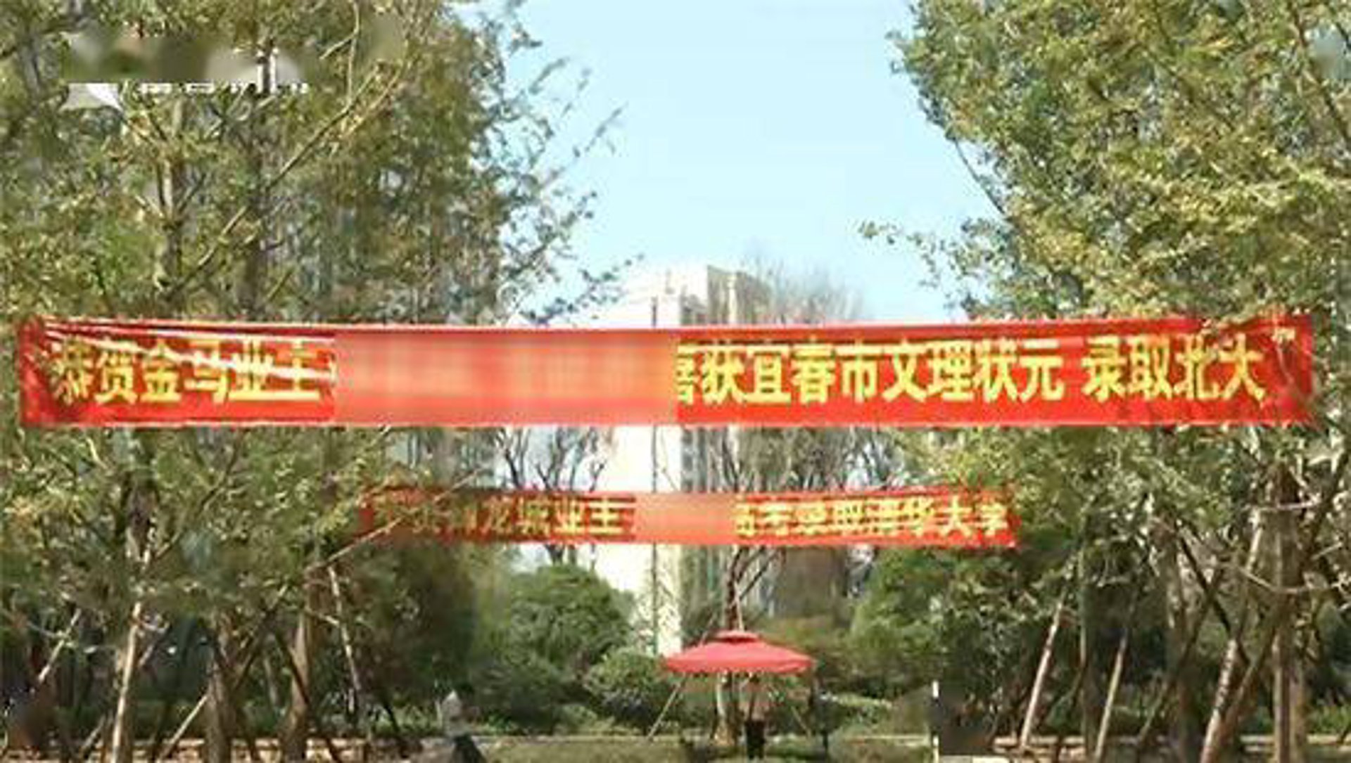 龙城文化教育